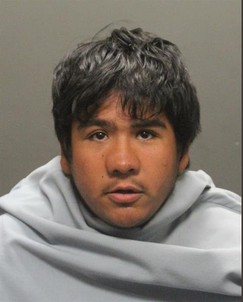 Mug shots 2019